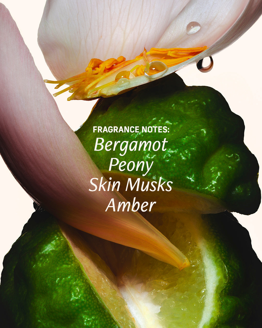 Bergamot Bond - Rituals Set